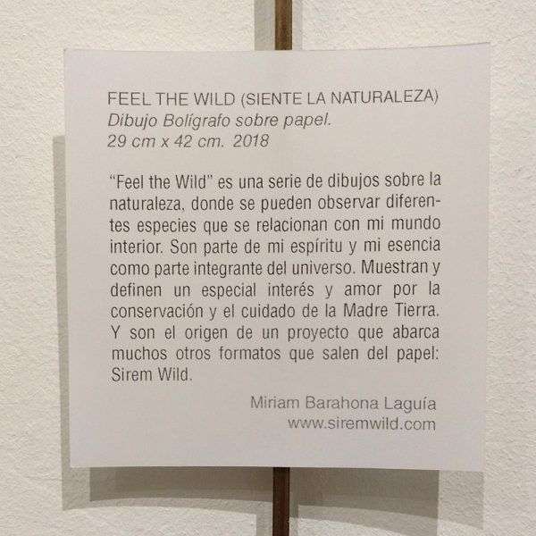 Objetivo 8_2018_colectivo artistico-miriam barahona-espacio joven-salamanca-sirem wild-feel the wild