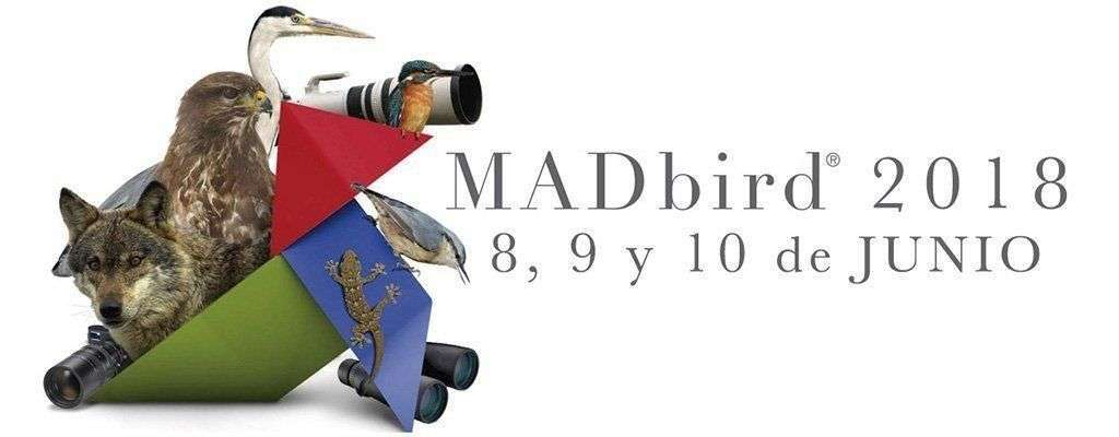 madbird 2018-sirem wild-camisetas ecologicas-algodon organico