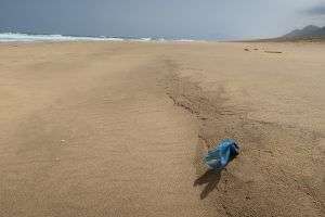 basura playa-plastico mar-cofete-fuerteventura