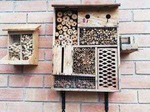 Polinizadores abejas en primavera-hotel insectos-abejas-polinización-sirem wild