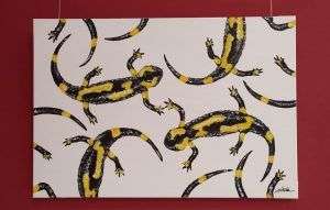 salamandras-salamandra comun-sirem wild-pintura