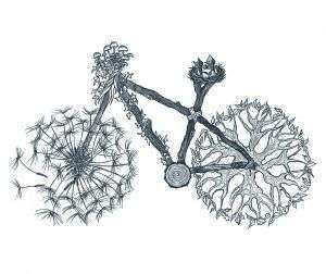dibujo bici naturaleza original-sirem wild