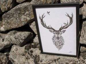 dibujo ciervo naturaleza original-sirem wild