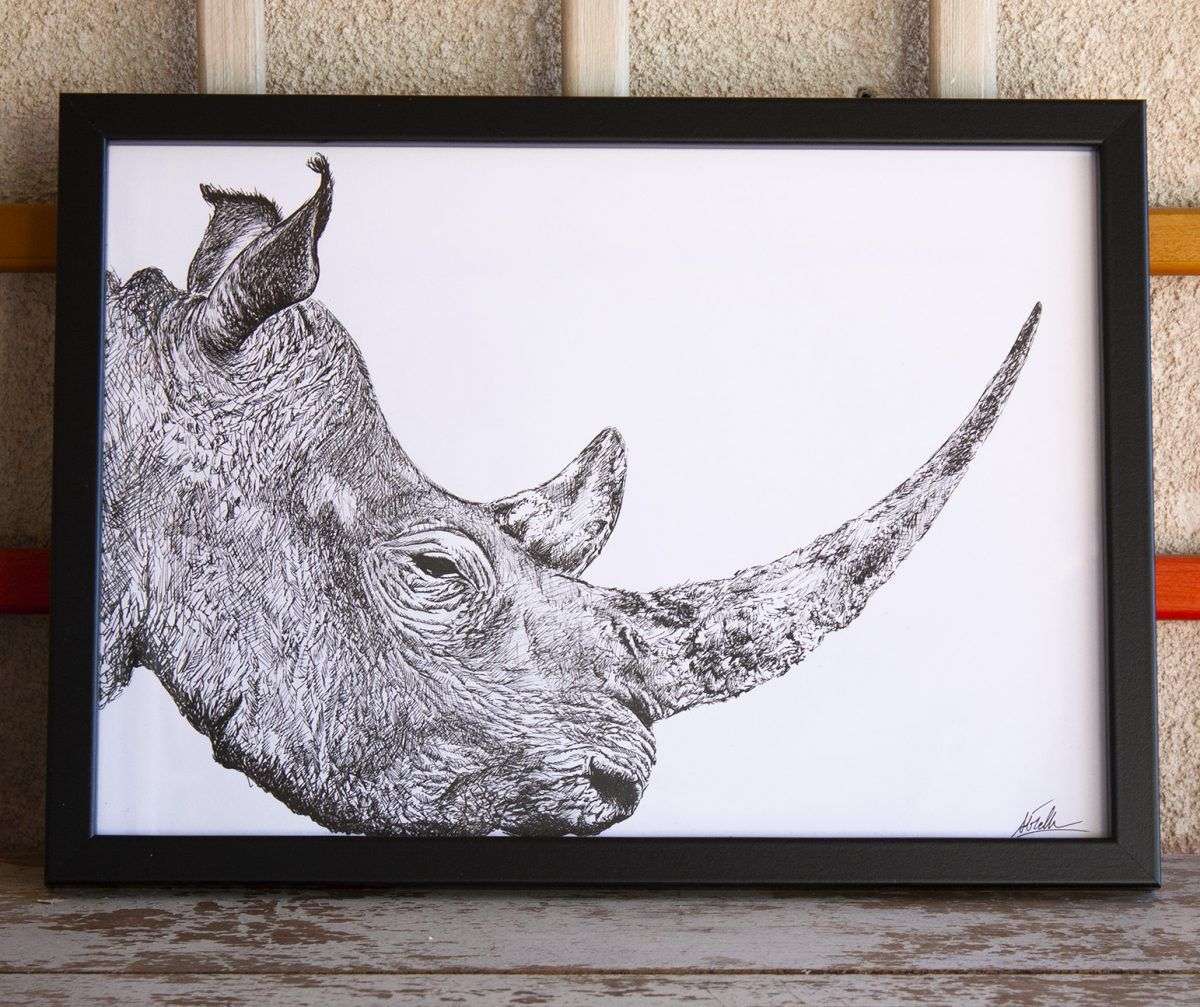 dibujo rinoceronte ilustracion boligrafo-sirem wild