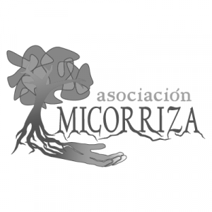 asociacion micorriza-sirem wild