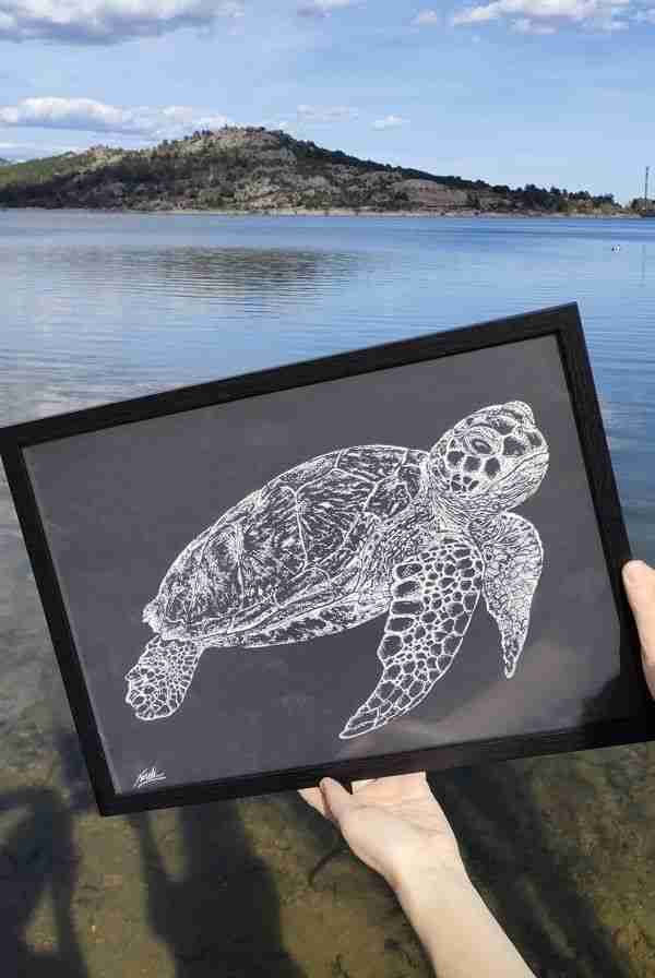 dibujo tortuga marina-agua-sirem wild