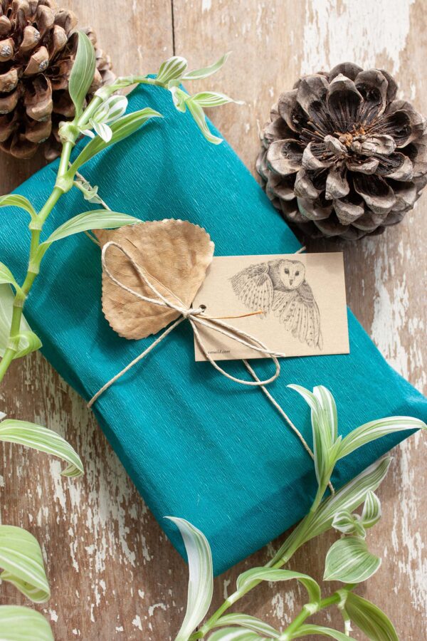 regalo-ropa sostenible-sirem wild